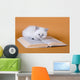 White Masquerade Kitten Reading Wall Decal