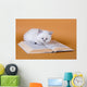 White Masquerade Kitten Reading Wall Decal