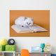 White Masquerade Kitten Reading Wall Decal