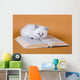 White Masquerade Kitten Reading Wall Decal