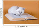 White Masquerade Kitten Reading Wall Decal