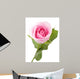 Macro Shot Beautiful Standing Pink Rose Wall Decal