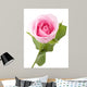 Macro Shot Beautiful Standing Pink Rose Wall Decal