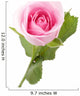 Macro Shot Beautiful Standing Pink Rose Wall Decal