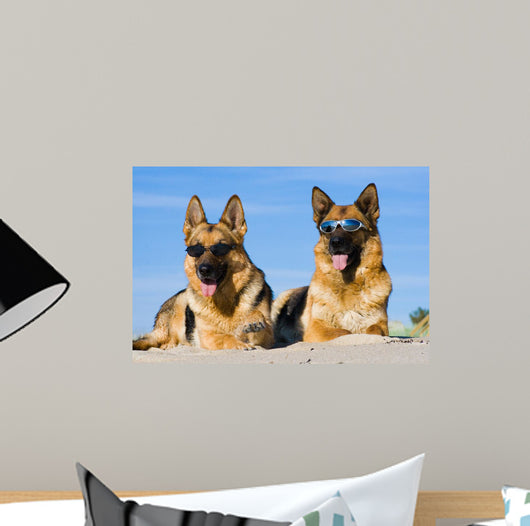 German Shepherds Lying Sun Wall Decal