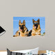 German Shepherds Lying Sun Wall Decal