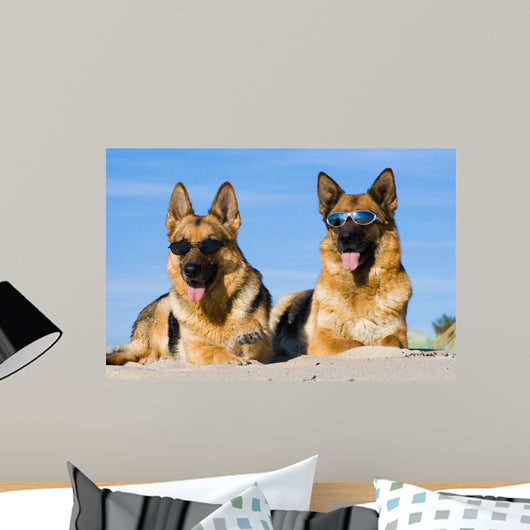 German Shepherds Lying Sun Wall Decal