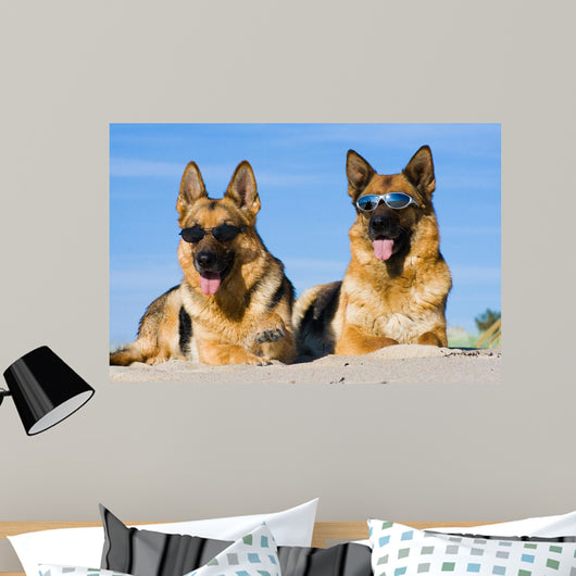 German Shepherds Lying Sun Wall Decal