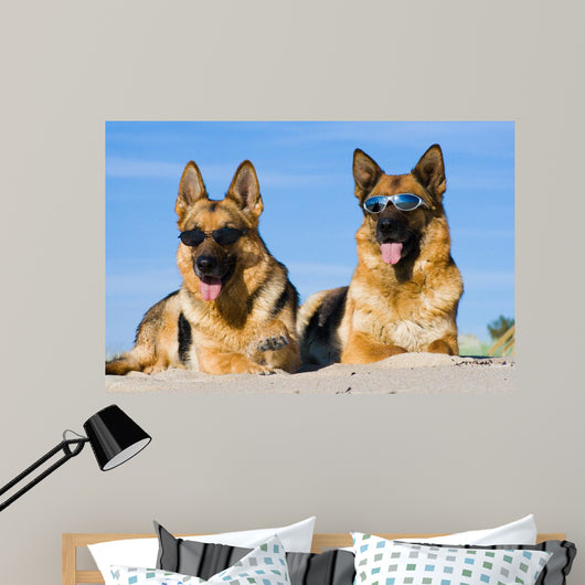 German Shepherds Lying Sun Wall Decal