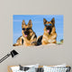 German Shepherds Lying Sun Wall Decal