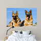 German Shepherds Lying Sun Wall Decal