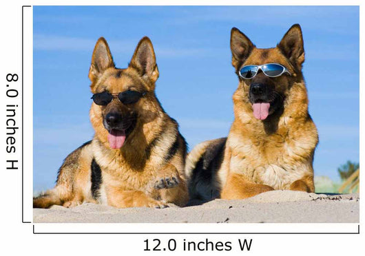 German Shepherds Lying Sun Wall Decal