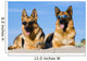 German Shepherds Lying Sun Wall Decal
