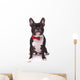 Portrait Cute French Bulldog Wall Decal