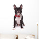 Portrait Cute French Bulldog Wall Decal
