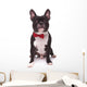 Portrait Cute French Bulldog Wall Decal