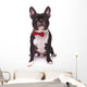 Portrait Cute French Bulldog Wall Decal