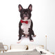 Portrait Cute French Bulldog Wall Decal