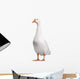 Domestic Goose Wall Decal