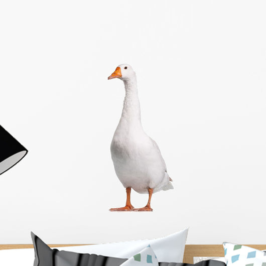 Domestic Goose Wall Decal