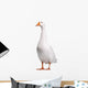 Domestic Goose Wall Decal