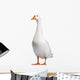 Domestic Goose Wall Decal