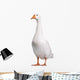 Domestic Goose Wall Decal