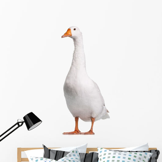 Domestic Goose Wall Decal