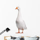 Domestic Goose Wall Decal