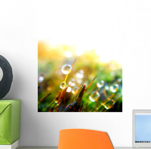 Drop Plant Wall Decal