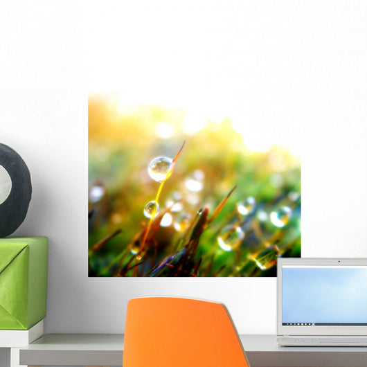 Drop Plant Wall Decal