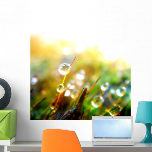 Drop Plant Wall Decal