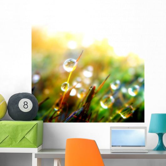 Drop Plant Wall Decal