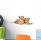 Two Lion Cubs Wall Decal