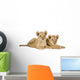 Two Lion Cubs Wall Decal