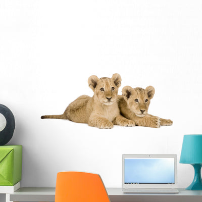 Two Lion Cubs Wall Decal shown on a wall