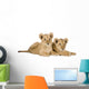 Two Lion Cubs Wall Decal