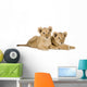 Two Lion Cubs Wall Decal