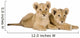 Two Lion Cubs Wall Decal