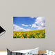 Sunflower Field over Blue Wall Decal
