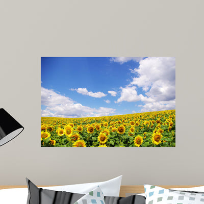 Sunflower Field over Blue Wall Decal shown on a wall