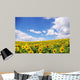 Sunflower Field over Blue Wall Decal