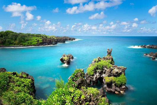 Road to Hana Wall Decal