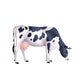 Cow Realistic Illustration Wall Decal