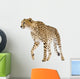 Cheetah Acinonyx Jubatus Front Wall Decal