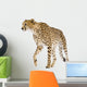 Cheetah Acinonyx Jubatus Front Wall Decal