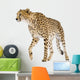 Cheetah Acinonyx Jubatus Front Wall Decal