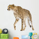 Cheetah Acinonyx Jubatus Front Wall Decal