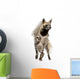 Striped Hyena Wall Decal