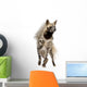 Striped Hyena Wall Decal